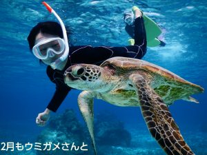２月も宮古島ウミガメシュノーケルで