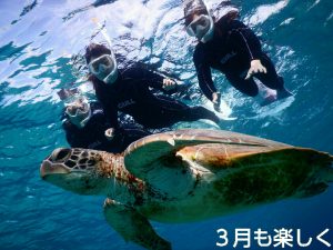３月の宮古島で楽しくウミガメさんとシュノーケル