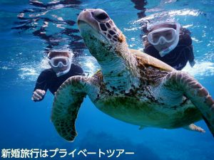 宮古島新婚旅行でウミガメとプライベートシュノーケルツアー