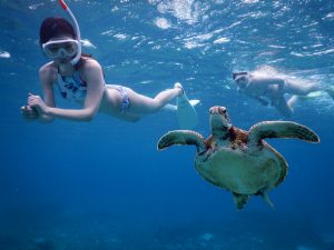 宮古島で午後からは水着でウミガメシュノーケル