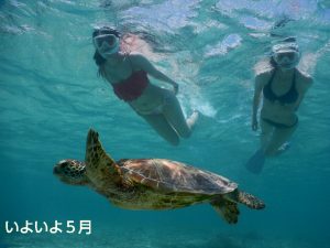 ビキニで宮古島の５月のシュノーケル