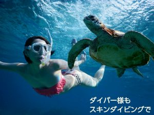 スキンダイビングでウミガメと宮古島で