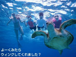 ウィンクしてくれたウミガメさんとシュノーケル
