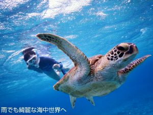 雨こそ宮古島でシュノーケリング