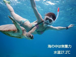 宮古島ウミガメと無重力シュノーケリング