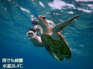 雨でもビキニでウミガメシュノーケリング