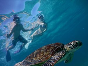 光さしこむシュノーケリング