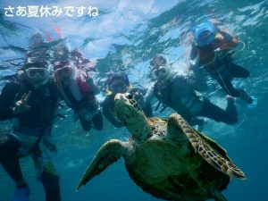 宮古島の夏休みウミガメとみんなでシュノーケル