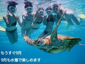 ９月の宮古島も水着でウミガメ