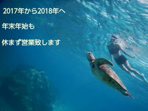 年末年始も休まず営業する宮古島シュノーケリング