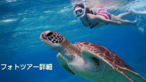 シュノーケリングツアー詳細
