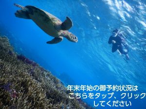 宮古島シュノーケル年末年始の御予約状況