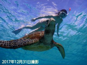 年末の宮古島でウミガメとビキニ撮影2017