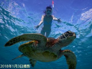 2018年初の宮古島ウミガメシュノーケリングでビキニ撮影