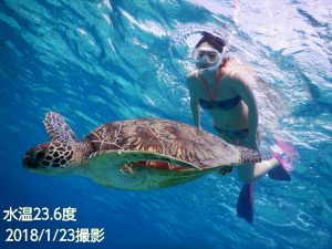 真冬のシュノーケリングは宮古島ではビキニでも大丈夫