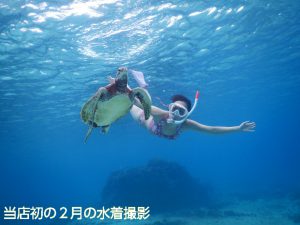 宮古島で初の２月ウミガメと泳ぐフォトツアー水着撮影