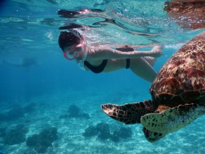 ビキニで美女がウミガメに接近