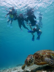 宮古島家族旅行で初ウミガメ