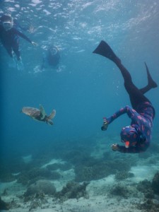 シュノーケルツアー撮影