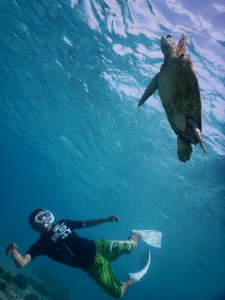 ウミガメを下から見上げる贅沢