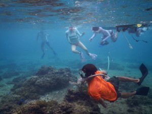 シュノーケル撮影