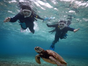 浅場でシュノーケル