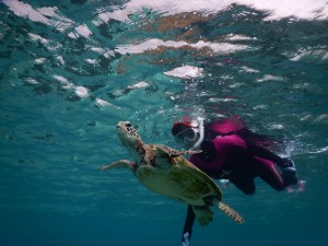 浮上に合わせシュノーケルで泳ぐ