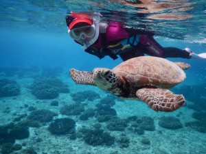 大きなウミガメのジョージ