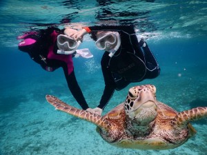 少し冷えるけどシュノーケルツアーの準備で