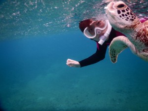 宮古島シュノーケルツアーでウミガメの表情