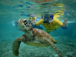 秋休みのシュノーケル