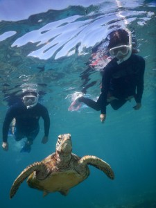 シュノーケルは二人のタイミングで