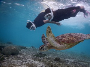 シュノーケルもスキンダイビングもオッケー
