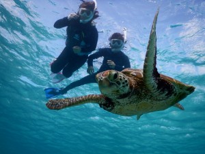 お昼からシュノーケル