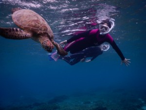 その日の気分でシュノーケル