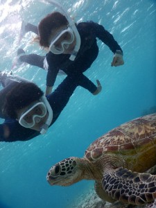 彼と一緒にウミガメツアー