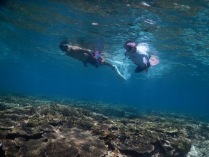 仲良し夫婦シュノーケルツアー