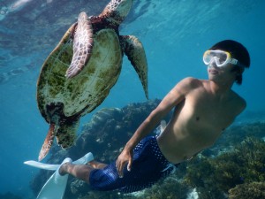 これから一緒にシュノーケル