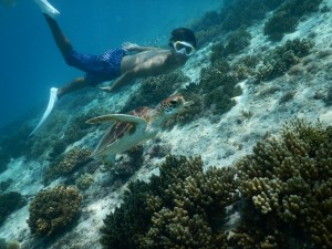 裸でシュノーケル