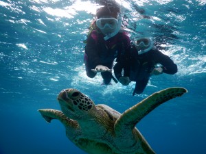 シュノーケルしてたらウミガメ