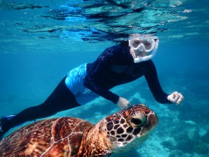 ナイススタイルなシュノーケル