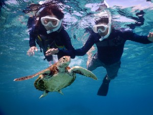 夫婦いつまでも仲良し宮古島シュノーケル
