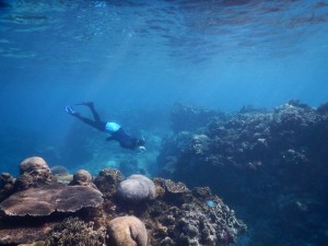 深いシュノーケル