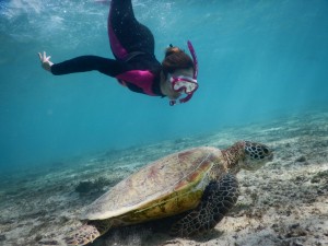 初めてシュノーケルつけて素潜り