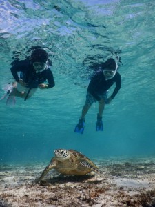 ジョージアをシュノーケルで発見