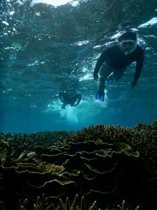 美し過ぎる珊瑚シュノーケル