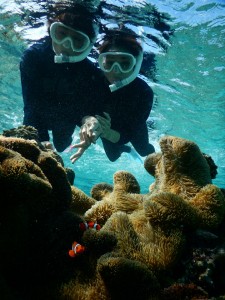 ニモとシュノーケル撮影