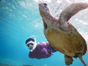 年賀状シュノーケル撮影