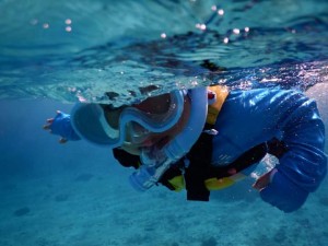 3歳でシュノーケルツアー