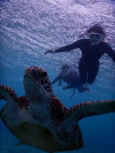 大雨の中シュノーケルツアー